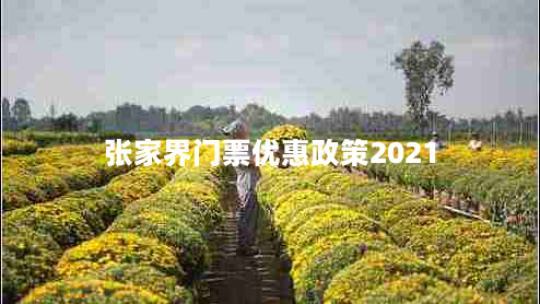 张家界门票优惠政策2021（享受旅游优惠，畅游张家界）