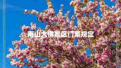 南山大佛景区门票规定（门票价格和购票方式详解）