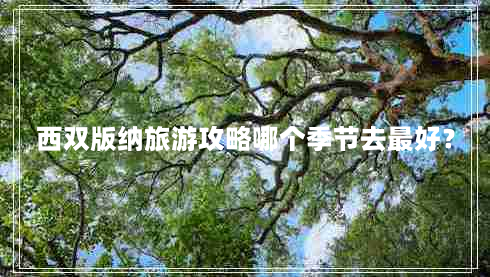 西双版纳旅游攻略哪个季节去最好？（详细分析不同月份的特点）