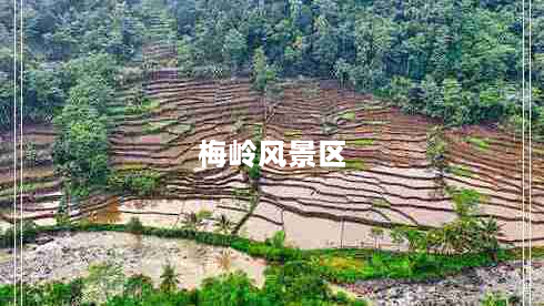 梅岭风景区（探秘梅岭山峰的自然风光）