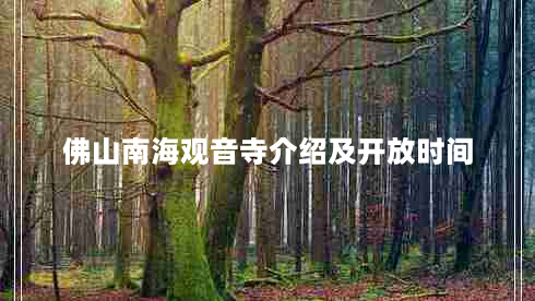 佛山南海观音寺介绍及开放时间