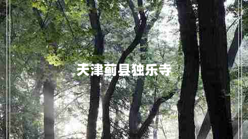 天津蓟县独乐寺（探秘天津蓟县独乐寺的历史和文化）