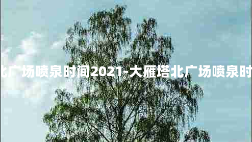 大雁塔北广场喷泉时间2021-大雁塔北广场喷泉时间2020