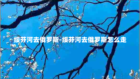 绥芬河去俄罗斯-绥芬河去俄罗斯怎么走