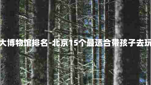 北京十大博物馆排名-北京15个最适合带孩子去玩的地方