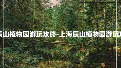 上海辰山植物园游玩攻略-上海辰山植物园游玩攻略图