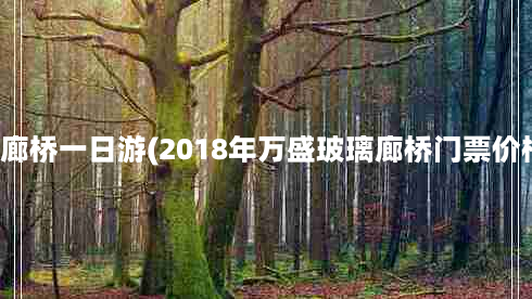 万盛玻璃廊桥一日游(2018年万盛玻璃廊桥门票价格多少钱)