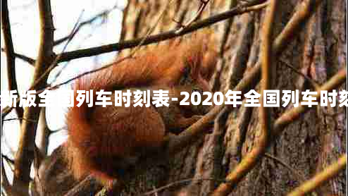 2021年新版全国列车时刻表-2020年全国列车时刻表下载