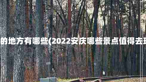 安庆好玩的地方有哪些(2022安庆哪些景点值得去玩的地方)