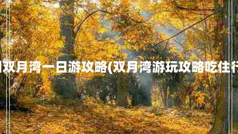 惠州双月湾一日游攻略(双月湾游玩攻略吃住行游)