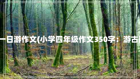 隆中一日游作文(小学四年级作文350字：游古隆中)