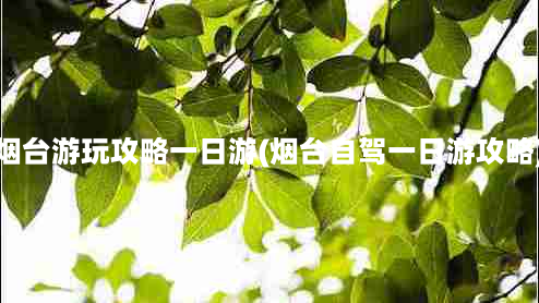 烟台游玩攻略一日游(烟台自驾一日游攻略)