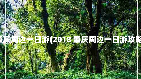 肇庆周边一日游(2018 肇庆周边一日游攻略（必游景点+地址及交通）)