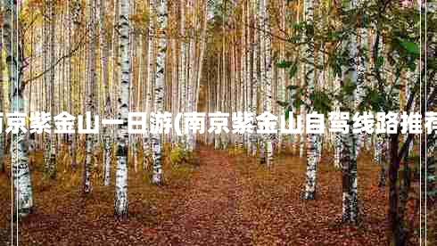 南京紫金山一日游(南京紫金山自驾线路推荐)