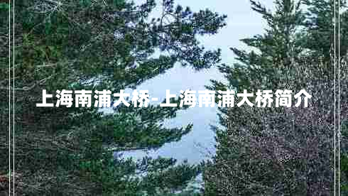 上海南浦大桥-上海南浦大桥简介