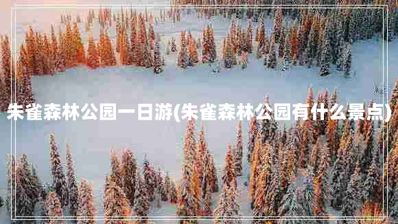 朱雀森林公园一日游(朱雀森林公园有什么景点)