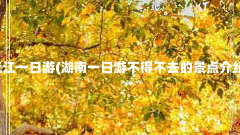 沅江一日游(湖南一日游不得不去的景点介绍)