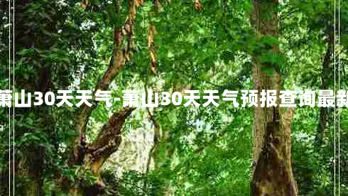 萧山30天天气-萧山30天天气预报查询最新