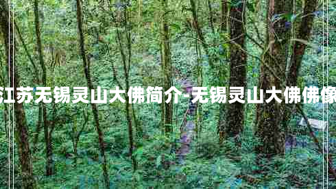 江苏无锡灵山大佛简介-无锡灵山大佛佛像