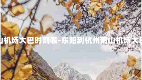 杭州萧山机场大巴时刻表-东阳到杭州萧山机场大巴时刻表