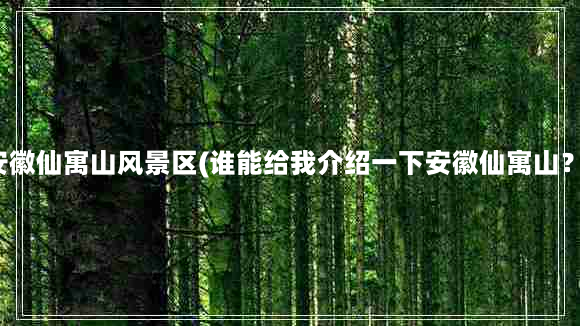 安徽仙寓山风景区(谁能给我介绍一下安徽仙寓山？)