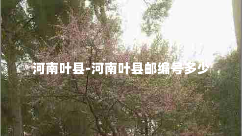 河南叶县-河南叶县邮编号多少