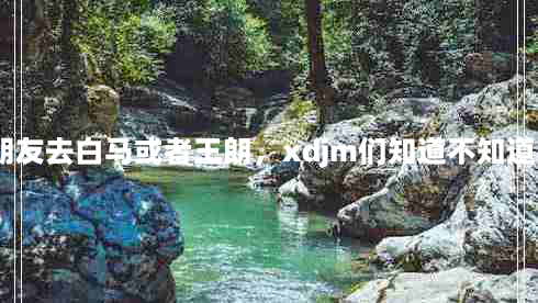 白马王朗风景区住宿(周末想和朋友去白马或者王朗，xdjm们知道不知道要多少钱啊，我玩2天，谢谢！)