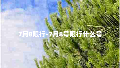 7月8限行-7月8号限行什么号