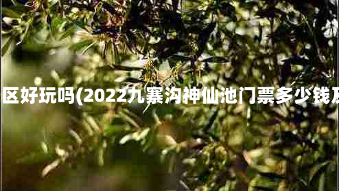 神仙池风景区好玩吗(2022九寨沟神仙池门票多少钱及优惠政策)