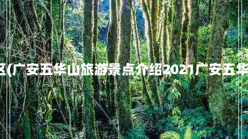 邻水五华山风景区(广安五华山旅游景点介绍2021广安五华山门票优惠政策)