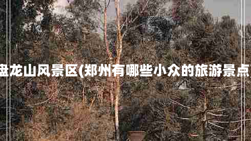 盘龙山风景区(郑州有哪些小众的旅游景点)