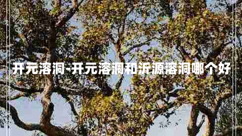 开元溶洞-开元溶洞和沂源溶洞哪个好