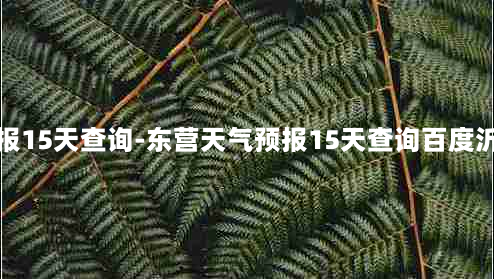 东营天气预报15天查询-东营天气预报15天查询百度沂山天气预报