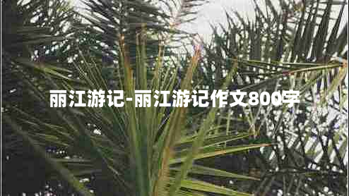 丽江游记-丽江游记作文800字