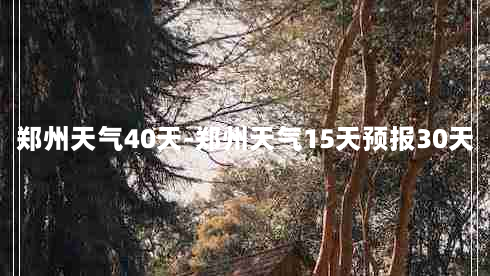 郑州天气40天-郑州天气15天预报30天