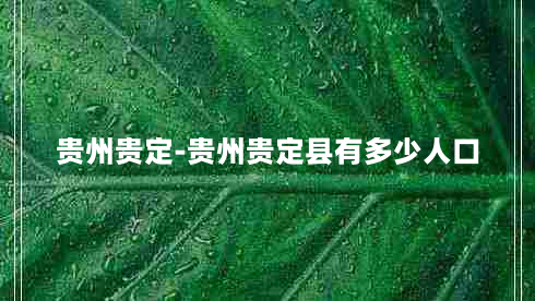 贵州贵定-贵州贵定县有多少人口