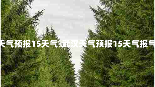 武汉天气预报15天气-武汉天气预报15天气报气 新闻