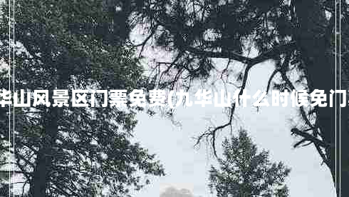 九华山风景区门票免费(九华山什么时候免门票)