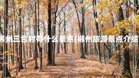 郴州三合村有什么景点(郴州旅游景点介绍)