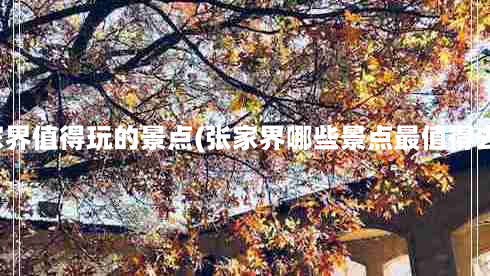 张家界值得玩的景点(张家界哪些景点最值得去看)