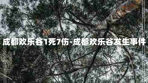 成都欢乐谷1死7伤-成都欢乐谷发生事件