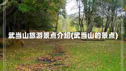 武当山旅游景点介绍(武当山的景点)