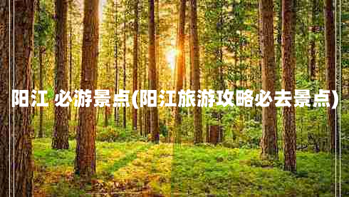 阳江 必游景点(阳江旅游攻略必去景点)