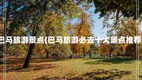 巴马旅游景点(巴马旅游必去十大景点推荐)