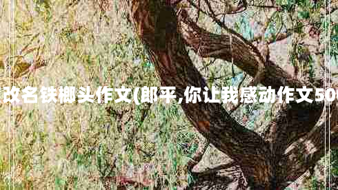 景点改名铁榔头作文(郎平,你让我感动作文500字)