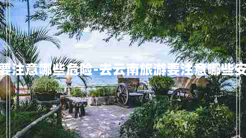 去云南要注意哪些危险-去云南旅游要注意哪些安全问题