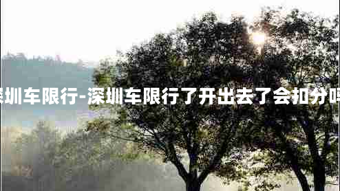 深圳车限行-深圳车限行了开出去了会扣分吗?