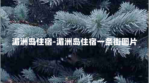 湄洲岛住宿-湄洲岛住宿一条街图片