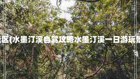 丁溪风景区(水墨汀溪自驾攻略水墨汀溪一日游玩景点介绍)