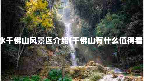 丽水千佛山风景区介绍(千佛山有什么值得看的)